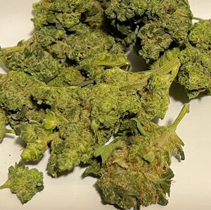 Kosher Kush x Tangie Smalls