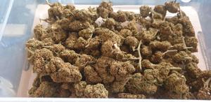 CBD Flower and Hash Listing