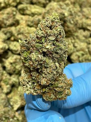 Grease Monkey *Free Shipping*