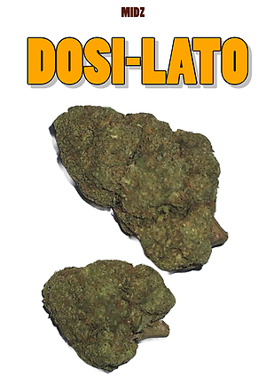 DOSI-LATO