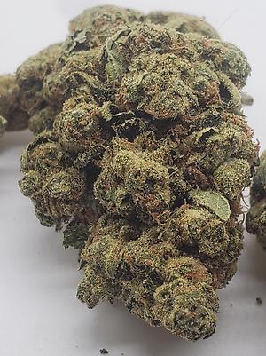 CYPRESS HILL OG (HYRBID)