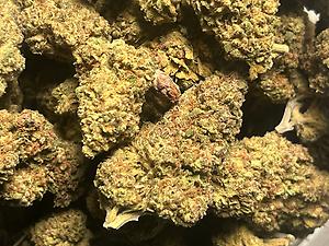 120 dollar promo zips!!