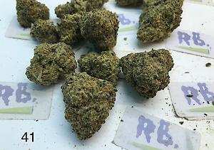 41 CHERRIES TOP SHELF CALI