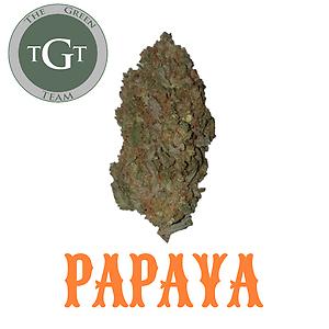 PAPAYA *EXCLUSIVE*