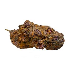 Divine Grade: Cali "Sirius Black" Indica