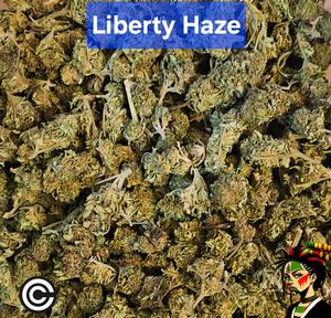Liberty Haze - Organic UK Outdoor Grow 2024