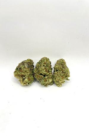 MOCHI - EXOTICS