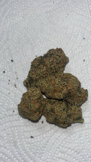 GUMMY BEARZ - CALI MIDS IMPORT AAA+ 3.5g TESTER