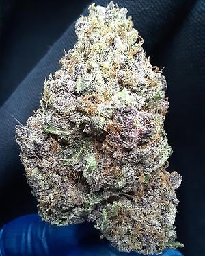 PURPLE LEMONADE - 70/30 INDICA