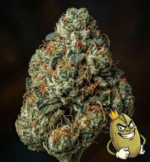 GORILLA GLUE - UK CLASSIC £135 A OUNCE