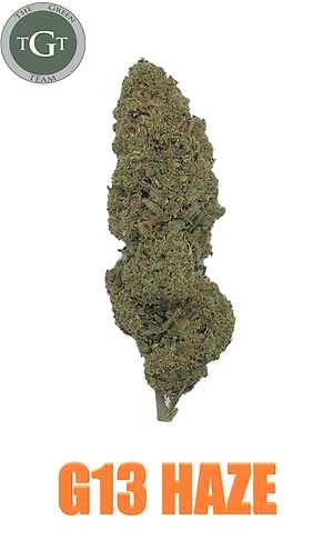 G13 HAZE