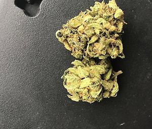 Jayspadez Silver haze