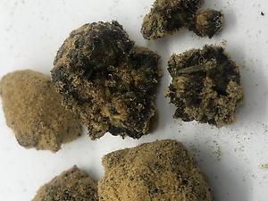 Not For The Weak - Ultra Potent Moonrocks - High THC