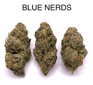 BLUE NERDS
