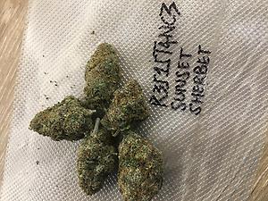 SUNSET SHERBET SPANISH IMPORT INDOOR LED LIGHT GROWN