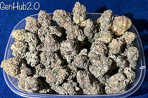 Gary Payton Canadian Import