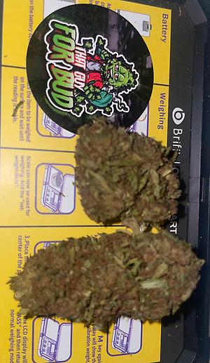 Tutti Frutti B Grade CHEAP - Decent Quality