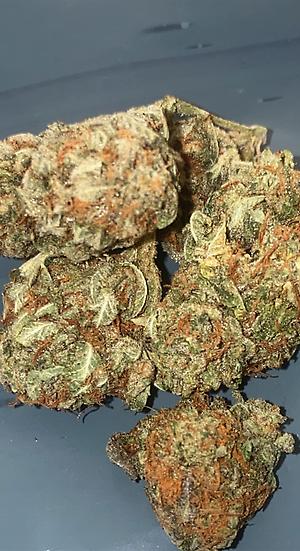 STARDAWG