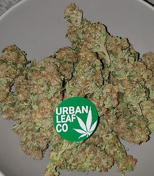 **CLUSTERBOMB - (FREE RM 1ST CLASS DELIVERY)**