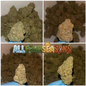 Cali 🇺🇸 (Exotics)