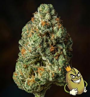 KOOLATO KUSH - TOPSHELF £140 PER OUNCE