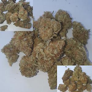 RP Limited Edition Crane Bag