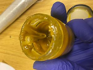 Black Cherry Pie Badder Amazing - Extracted in House