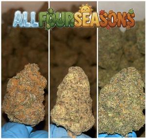 CALI WEED (TOP SHELF)