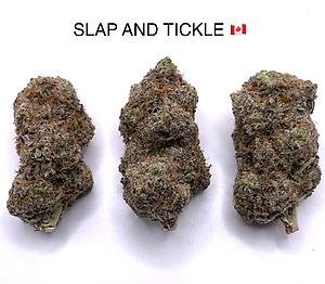 SLAP AND TICKLE