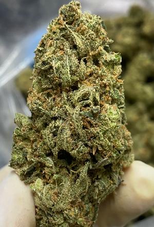🇬🇧 🍋 Delicious and Potent Super Lemon Haze Sativa