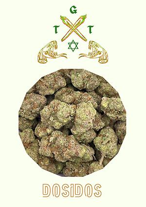 DOSIDOS CALI IMPORT *FREE SHIPPING*