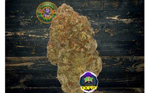 Stardawg