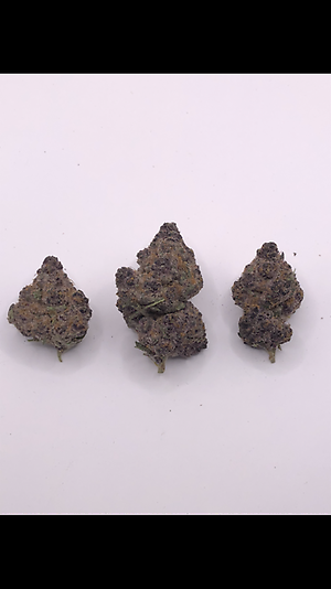 TROPICAL RUNTZ - EXOTIC