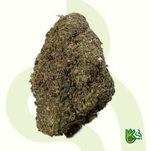 Tomiko Plum Poppers *Free Shipping*