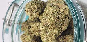 LA KUSH CAKE (INDICA)