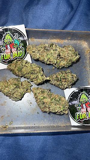 Gelato 33 A++, UK to UK - Good price