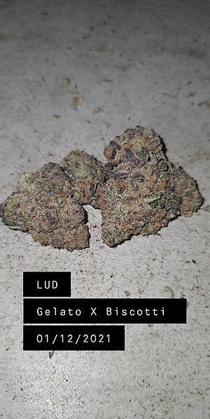 GELATO X BISCOTTI
