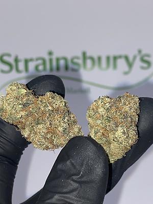 SUNSET RUNTZ - CALI MIDS