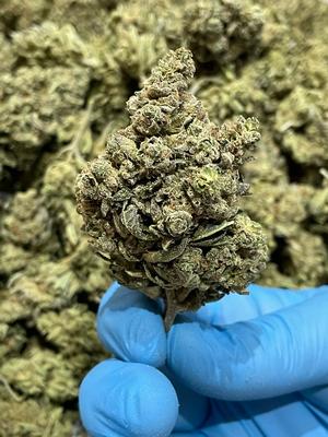 Skywalker OG *Free Shipping*