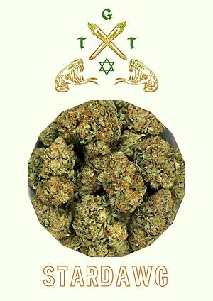 STARDAWG *FREE SHIPPING*