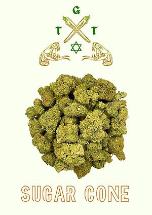 Premium Sugar Cone *Free Shipping*