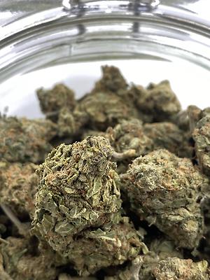 SOUR POISON (SATIVA)