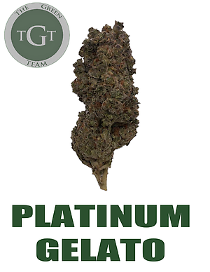 PLATINUM GELATO