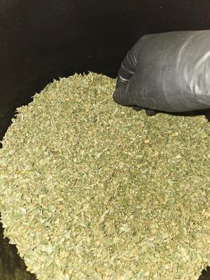 Mixed small bud/dust/shake