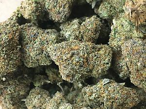 RUNTZ - ZKITTLES X GELATO 41 - CALI IMPORT