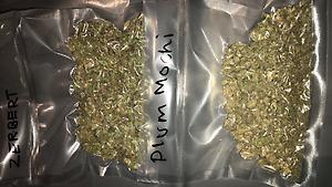 BUDS/SHAKE (CHECK DESCRIPTION FOR STRAINS)