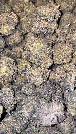 Blue gelato