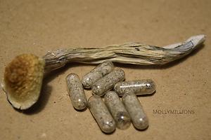 Psilocybin Microdose Capsules