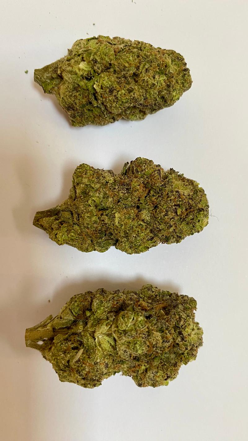 Dispensary Sealed Backdoor Cali Packs