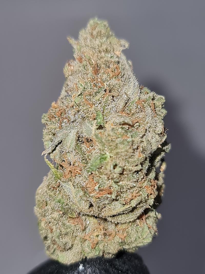 **CANDY HAZE - (FREE RM 1ST CLASS DISPATCH)**